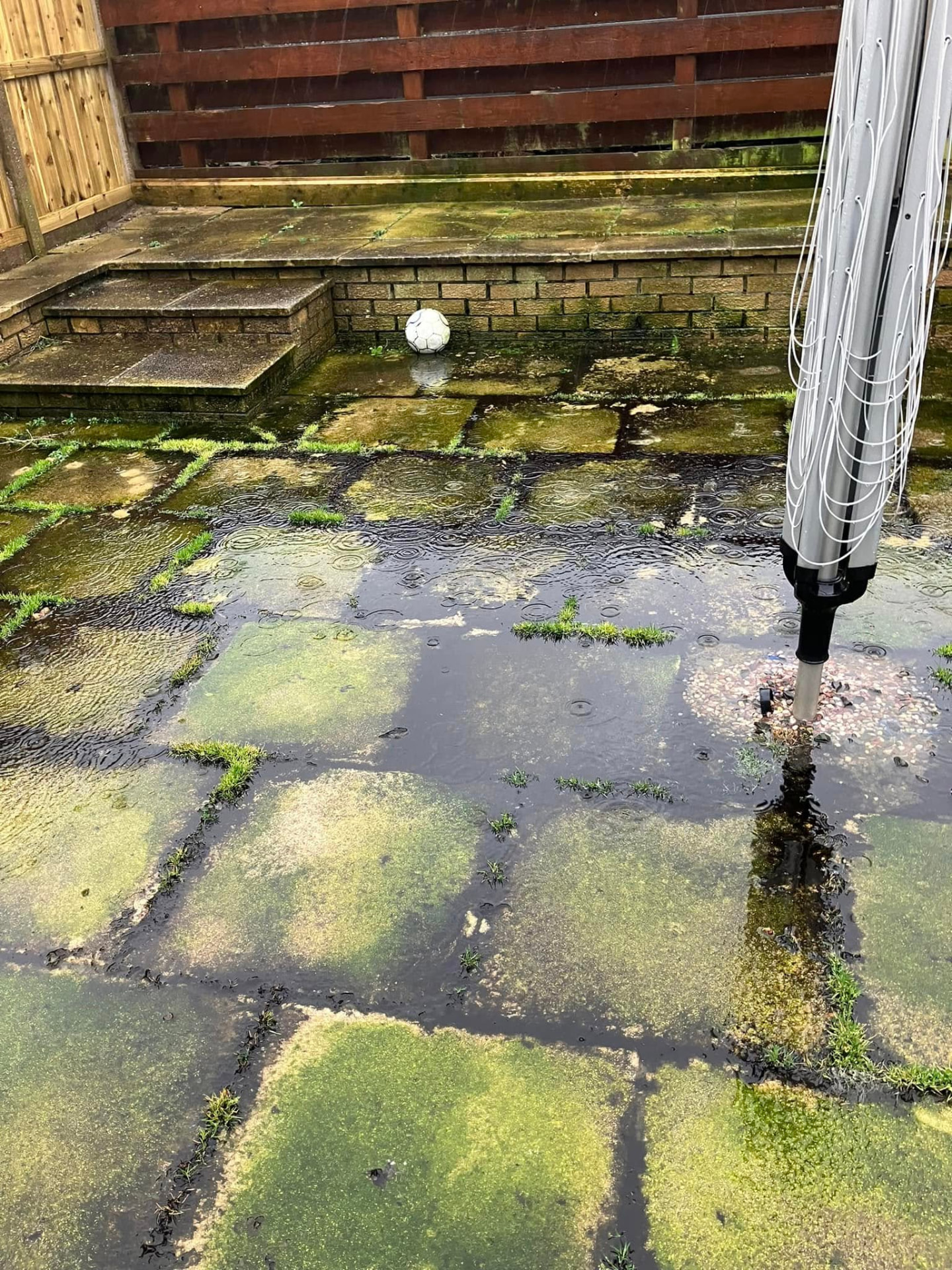 Patio covered in algae and green staining before pressure cleaning